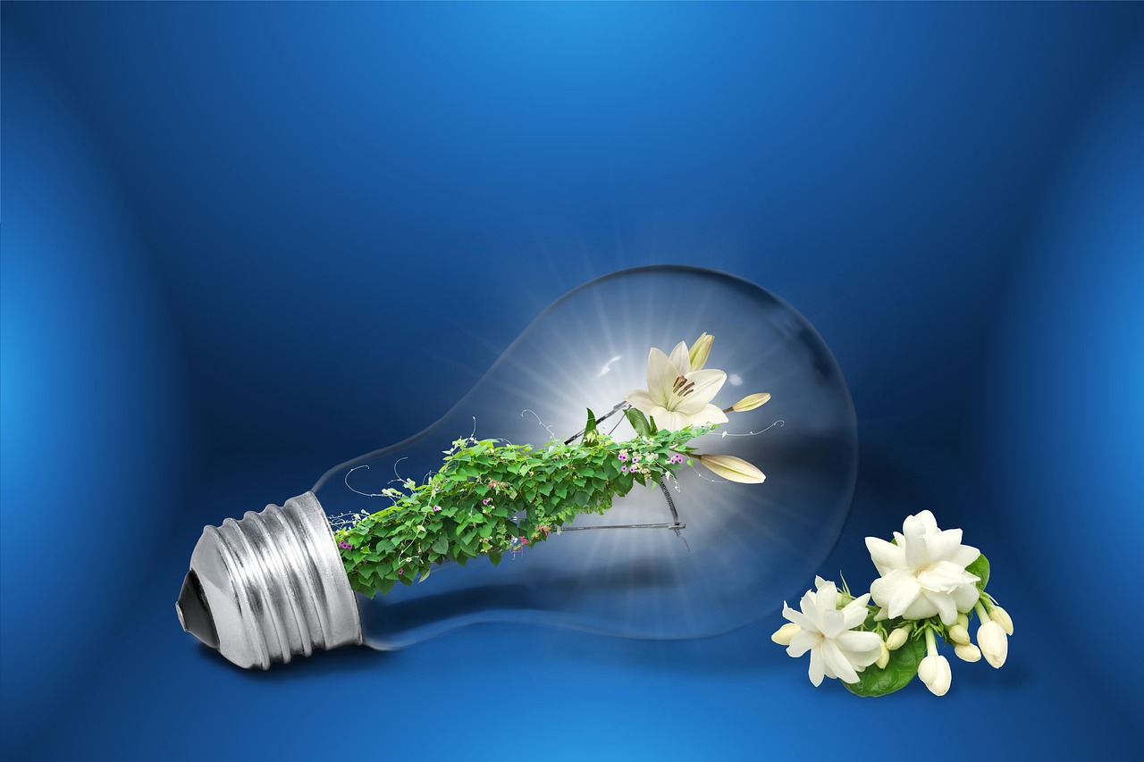 The Correlation between Green Energy and Financial Performance